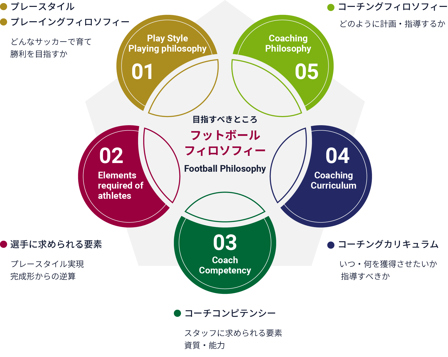 選手育成の全体像の図解
